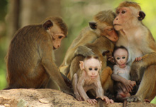 Day 6 itinerary in pic