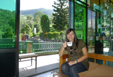 Day 8 itinerary in pic