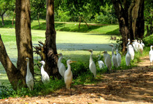 Day 1 itinerary in pic