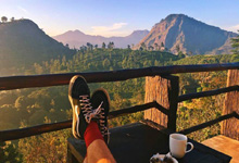 Day 11 itinerary in pic