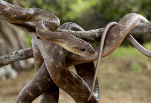 Day 12 itinerary in pic