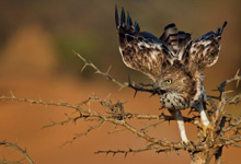 Day 12 itinerary in pic