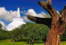 Day 2 itinerary in pic