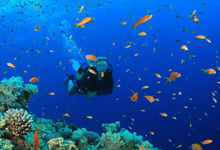 Day 3 itinerary in pic