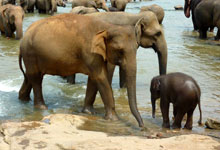 Day 1 itinerary in pic