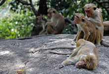 Day 1 itinerary in pic