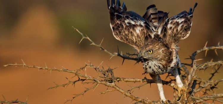 5 days adventure and thrill