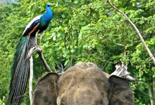 Day 4 itinerary in pic