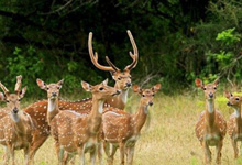 Day 4 itinerary in pic