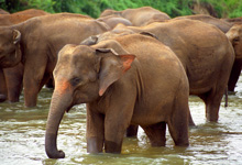 Day 1 itinerary in pic