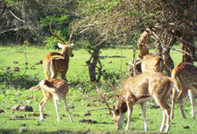 Day 5 itinerary in pic