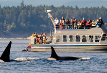 Day 6 itinerary in pic