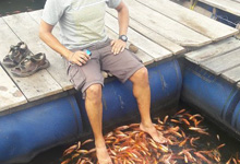 Day 7 itinerary in pic