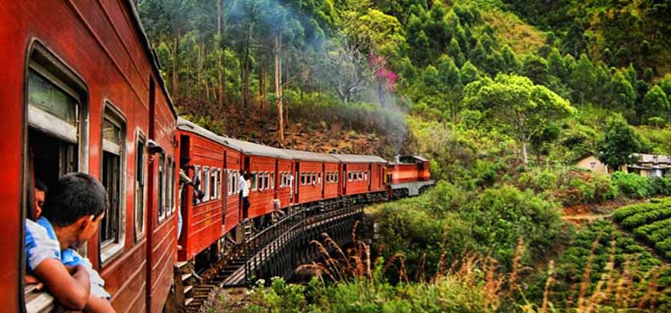 Adventure And Thrills Tours