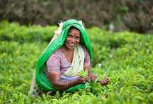 Day 3 itinerary in pic