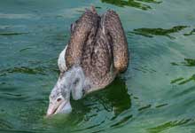 Day 5 itinerary in pic