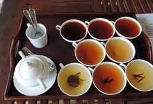 Day 4 itinerary in pic