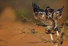 Day 5 itinerary in pic