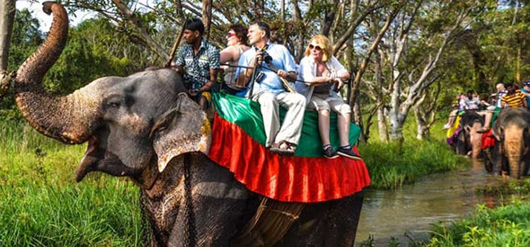 8 Days Causal Package - Bit of Everything