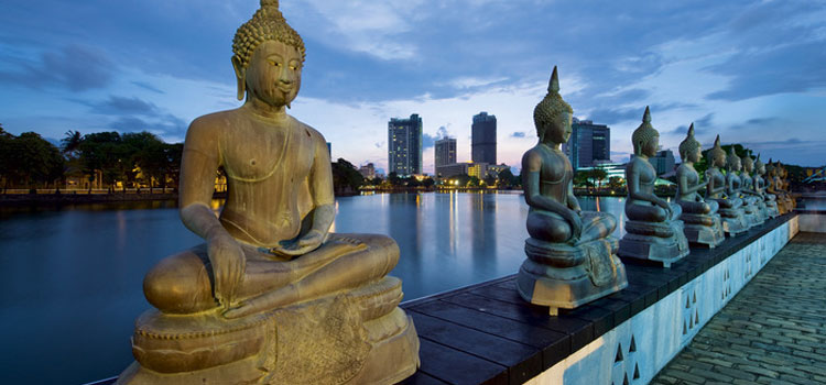 Essence Of Sri Lanka