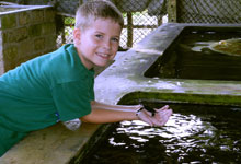 Day 5 itinerary in pic