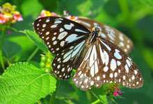 Day 3 itinerary in pic