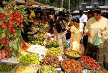 Day 4 itinerary in pic