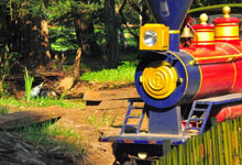 Day 4 itinerary in pic