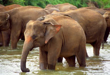 Day 3 itinerary in pic