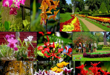 Day 4 itinerary in pic