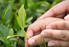 Day 5 itinerary in pic