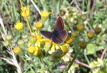 Day 6 itinerary in pic