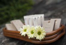 Day 3 itinerary in pic