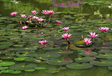 Day 2 itinerary in pic