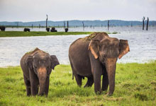 Day 4 itinerary in pic