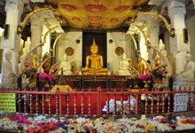 Day 7 itinerary in pic