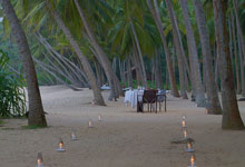 Day 11 itinerary in pic