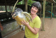 Day 4 itinerary in pic