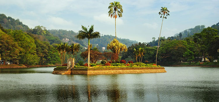 7 days luxury excape