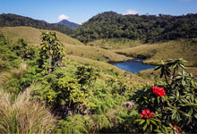 Day 4 itinerary in pic