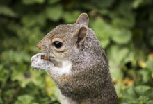 Day 4 itinerary in pic