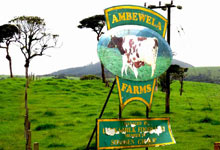 Day 5 itinerary in pic