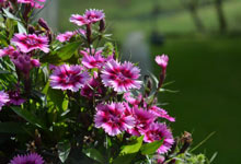 Day 5 itinerary in pic