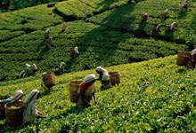 Day 6 itinerary in pic