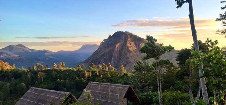 8 days Luxury living in Scenic upcountry