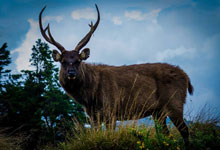 Day 4 itinerary in pic