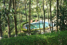 Day 6 itinerary in pic