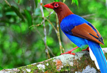 Day 7 itinerary in pic