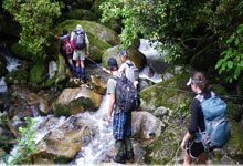 Day 8 itinerary in pic