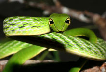 Day 8 itinerary in pic